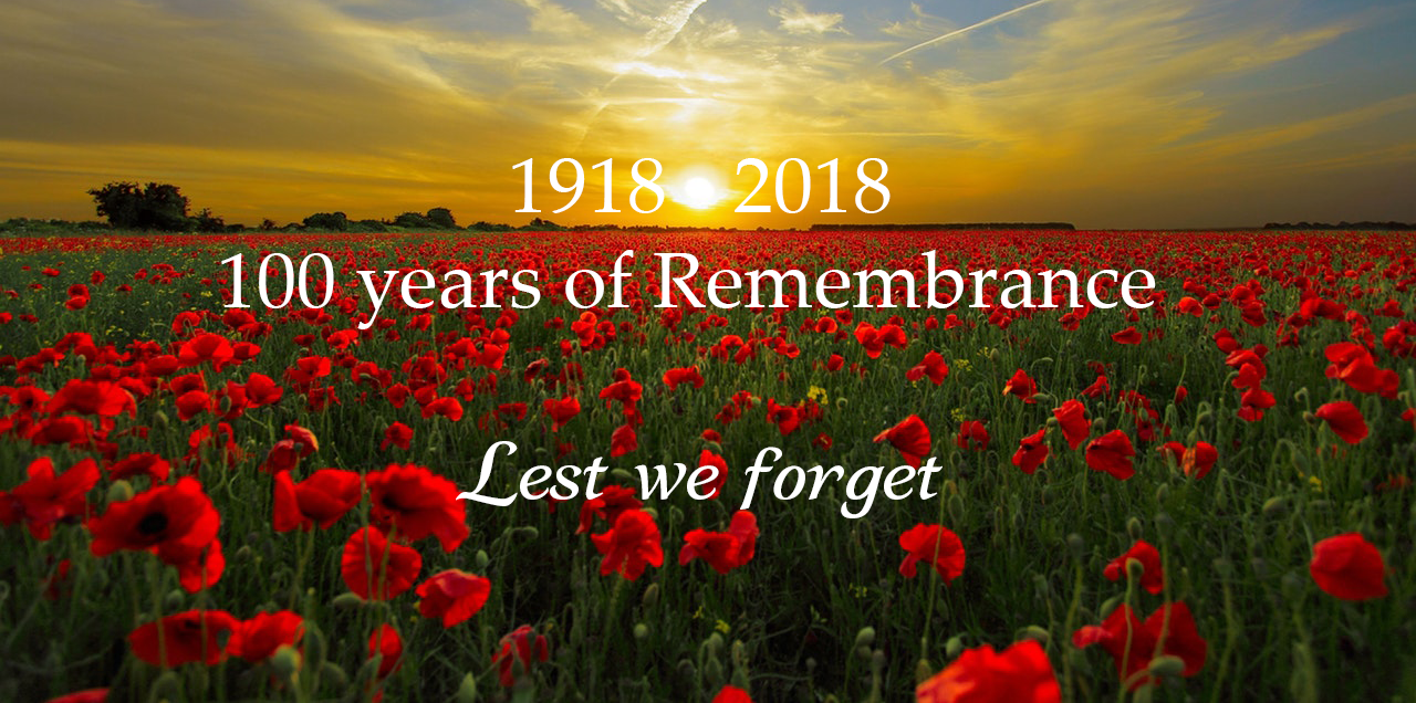 sunset-field-poppy-sun-priroda