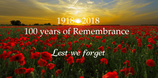 sunset-field-poppy-sun-priroda